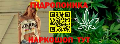 прущие крисы Сланцы