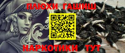 прущие крисы Сланцы