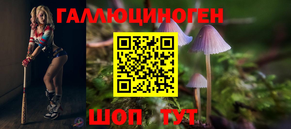 Псилоцибиновые грибы мицелий Новокубанск
